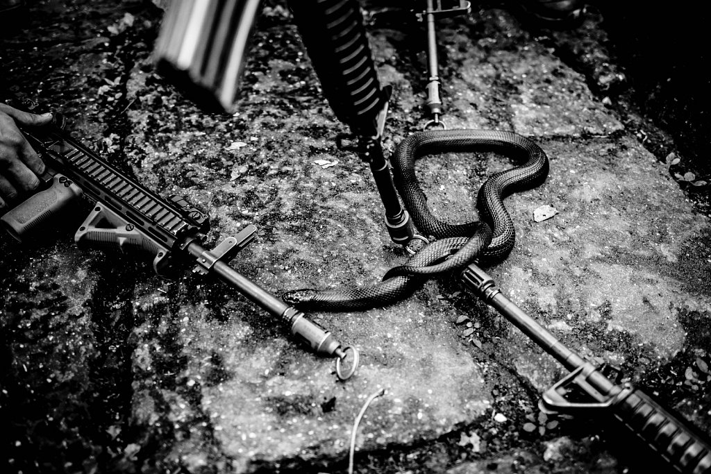 Reportage