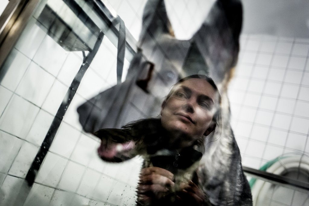 Fotograf/Photographer